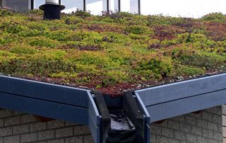 VBB bouwwerkbegroeners groendaken waterdak waterberging multifunctionele daken daktuin gevelbegroening