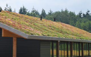 VBB bouwwerkbegroeners groendaken waterdak multifunctionele daken daktuin gevelbegroening