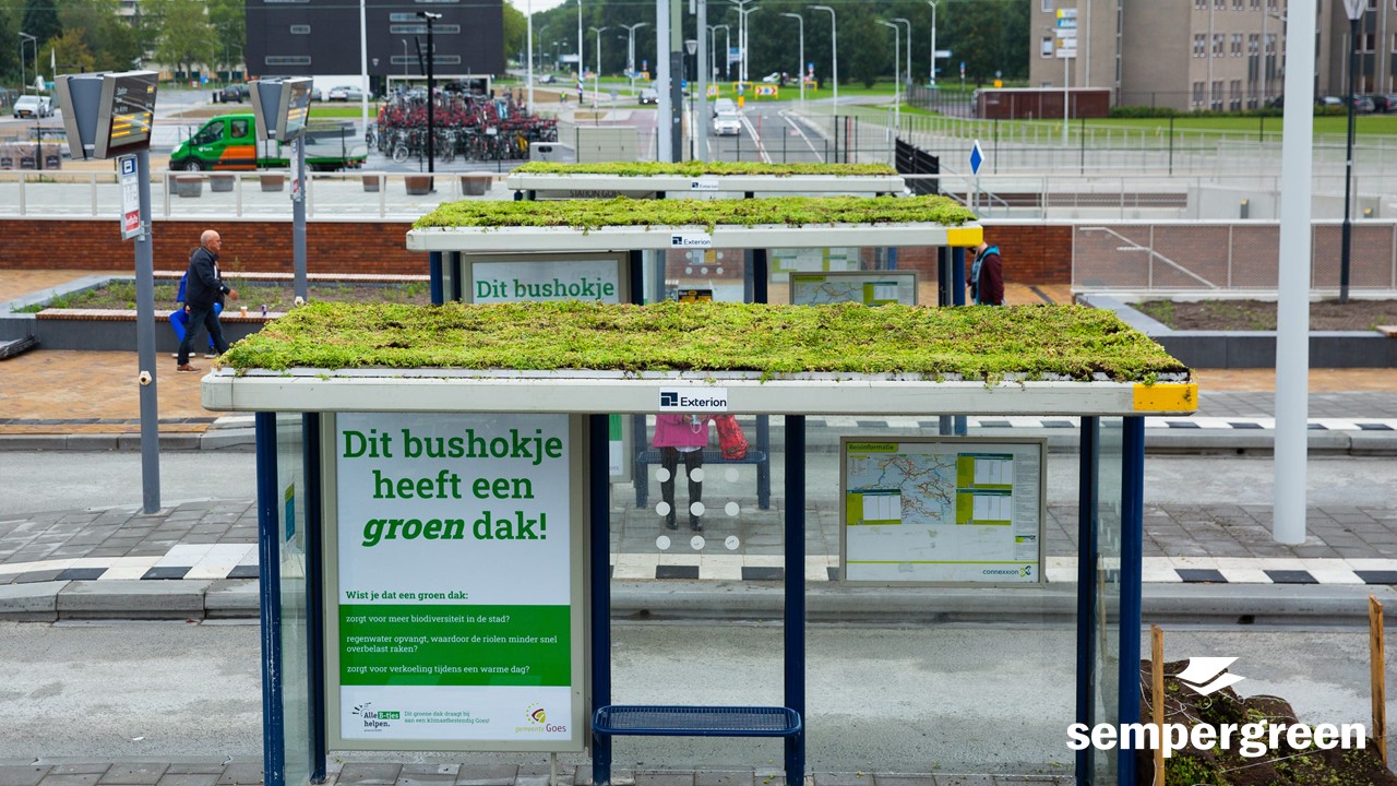 VBB bouwwerkbegroeners Sempergreen groendaken waterdak multifunctionele daken daktuin gevelbegroening