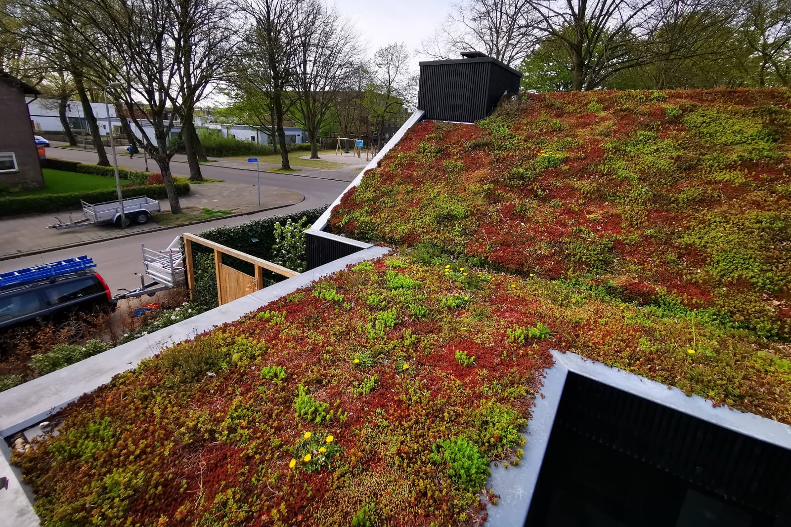 VBB Greenmakers